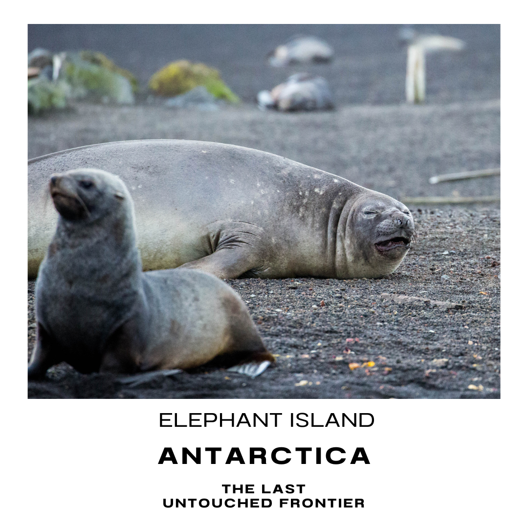 elephant island antarctic